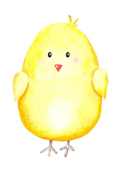 Watecolor Cute Easter Yellow Chicken Egg Shaped White Background Illustration — Stock Photo, Image