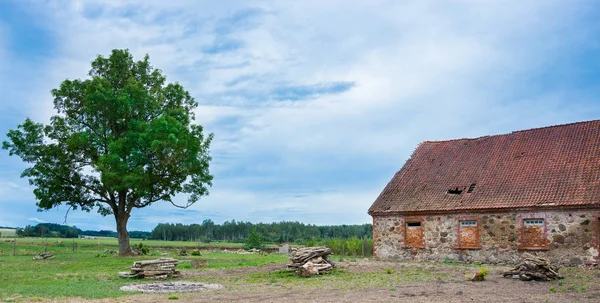 瓦屋根と村で孤独な木の古い放棄された石造りの家. — ストック写真