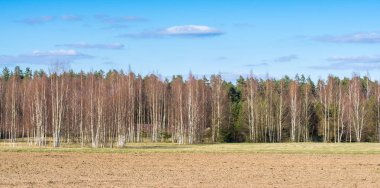 Patates ektiği için oluklar sürülmüş tarım alanı. Erken ilkbahar.