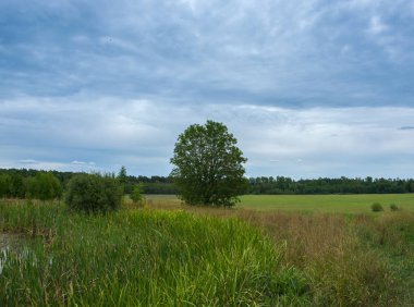 Kırsal bir pitoresk bulutlu gün.