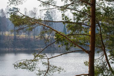 Gölün karşı kıyısının görünümü, suüzerinde güneş parlama.