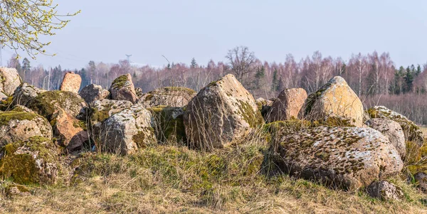 Stos kamieni pokrytych mchem na skraju pola wczesną wiosną. — Zdjęcie stockowe