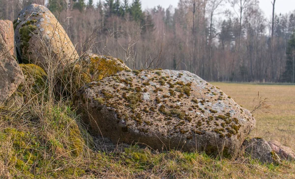 A pile of moss-covered stones on the edge of a field close up. — Stock Photo, Image