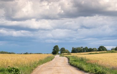 Yağmur dan önce pitoresk sarı alanlar boyunca Kırsal kir yol.