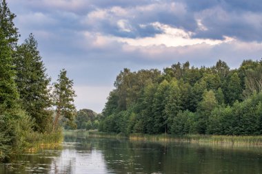 Orman nehir yansıması yaz manzara. Sonbaharda orman nehir yansıması