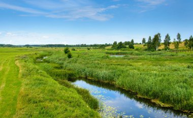 Bir nehir, yeşil çimlerle dolu bir tarlada akan dar bir dere.