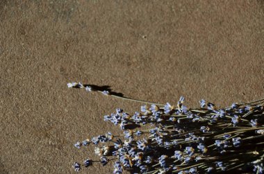 Kuru lavanta çiçeği ile ihale arka plan. Metin için mor çiçeklerle kontrast düğün çerçevesi