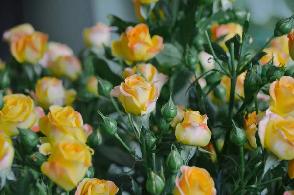 Iso Kaunis Kimppu Keltaisia Ruusuja Kuin Tunnustus Rakkaudessa — kuvapankkivalokuva