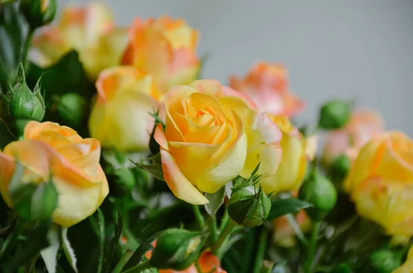 Monte Rosas Amarelas Brilhantes Plena Floração Buquê Casamento — Fotografia de Stock