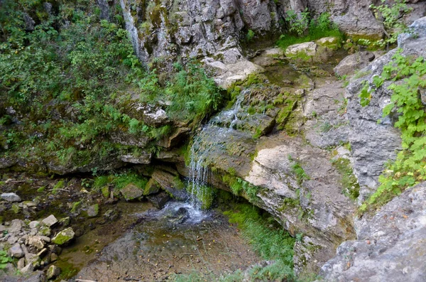 Sonbahar dağlarında sığ dere parlak renkli çağlayan şelale. Güzel şelale ile yeşil yosun ile kaplı gri kaya üzerinde üst görünümü