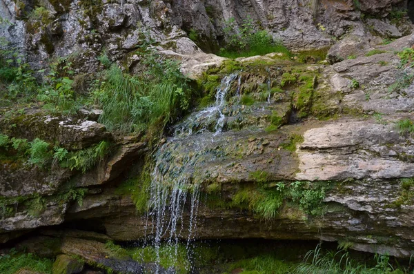 Яркий Мелкий Водопад Зеленых Мхах Серых Скользких Скалах Осеннем Болотном — стоковое фото