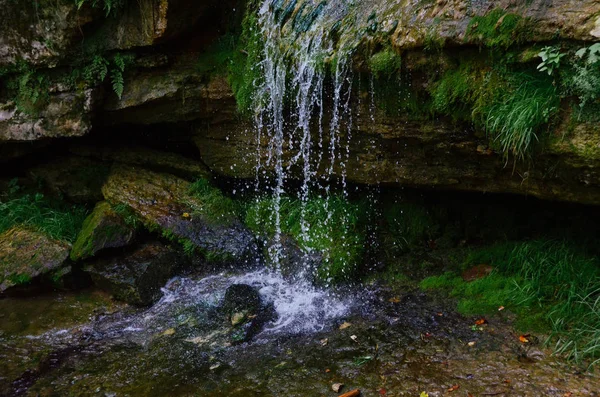 Luminoso Torrente Pulito Che Cade Dalle Rocce Con Muschi Verde — Foto Stock