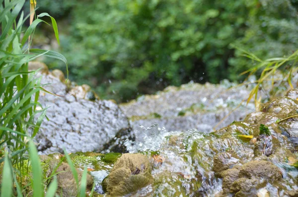 Blick Von Oben Auf Hellen Wasserfall Herbstwald Aus Nächster Nähe — Stockfoto