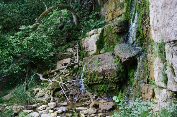 Helle Herbstliche Waldkulisse Cleqn Schneller Bach Mit Wasserfall Auf Felsen — Stockfoto