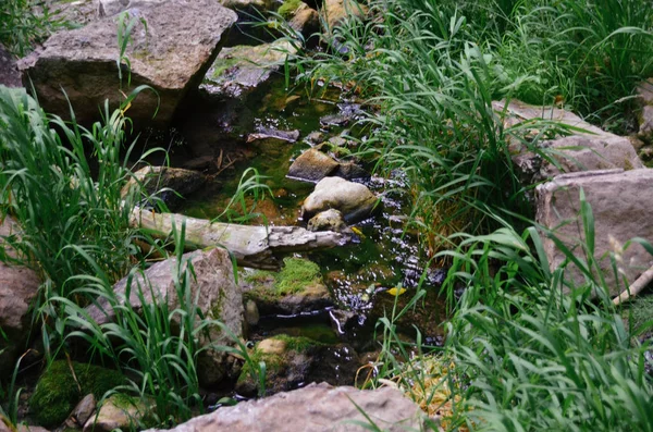 Szybkie Czyste Płytkie Creek Między Śliskie Skały Pokryte Zielonymi Mmsy — Zdjęcie stockowe