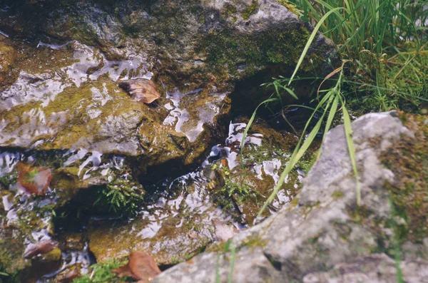 Быстрая Чистота Мелководного Ручья Между Скользкими Скалами Покрытыми Зеленым Мхом — стоковое фото