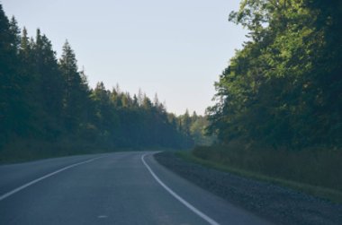 Parlak yeşil sonbahar sabahı düz beyaz çizgi ile Asfalt yol