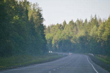 Sonbahar sabahı ormanın içinden geçen asfalt yol