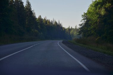 Parlak yeşil sabah ormanı arasında minimalist pürüzsüz doğa yolu