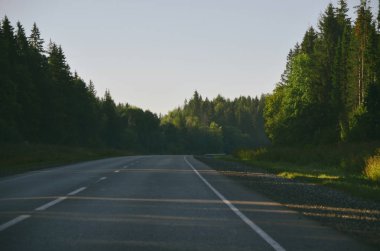 Sabah ormanyanında yeşil ağaçlar ile Yaz ülke yol