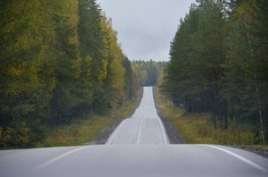 Sabah sarı sonbahar yolu ile parlak asfalt yol
