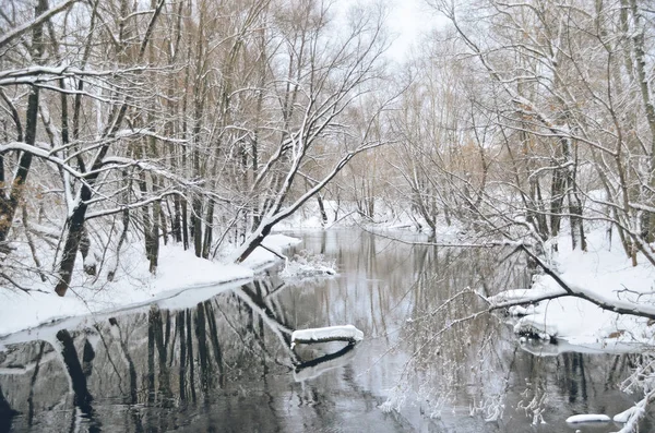 Hermoso Paisaje Invierno Pintoresco Río Bosque Bajo Nieve — Foto de Stock