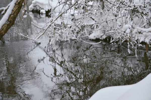 Pintoresco Reflejo Árboles Cubiertos Nieve Superficie Del Agua Bosque Invernal — Foto de Stock