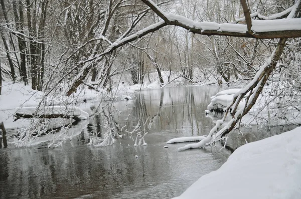 Heure Hiver Sur Rivière Forest Paysage Enneigé Pittoresque Surface Eau — Photo