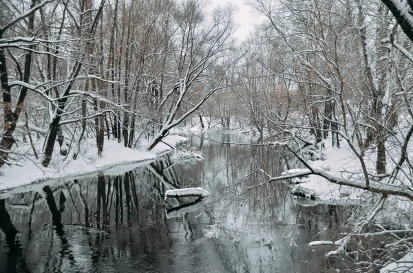 Hermoso Río Invierno Entre Bosque Blanco Está Envuelto Nieve — Foto de Stock