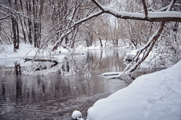 Beau Paysage Hivernal Surface Lisse Rivière Arbres Couverts Neige — Photo