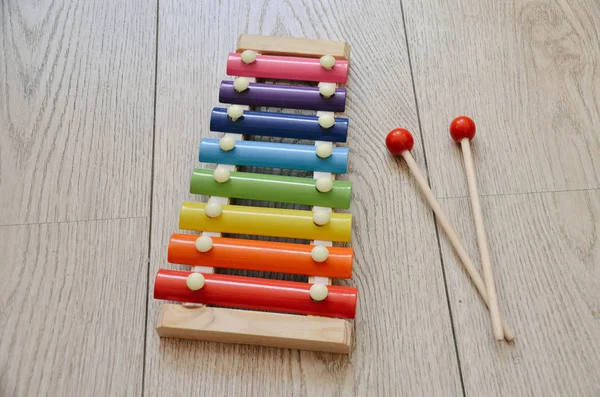 Bright Xylophone Close Isolated Wooden Background Musical Instrument Children Beautiful Stock Picture