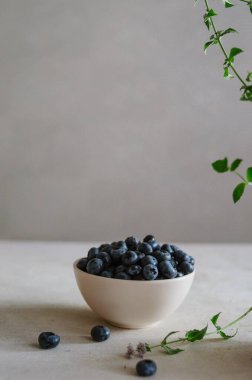 Beyaz masada, nane yapraklarıyla birlikte fildişi kasede taze yaban mersini. Gri arka planda izole edilmiş olgun böğürtlenler. 