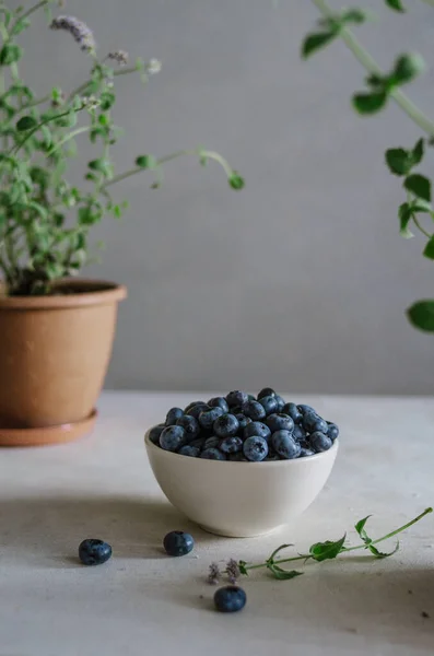 Fresh Blueberry Ivory Bowl White Table Mint Plants Pots Ripe — Stock Photo, Image