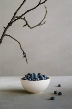 Gri arka planda, siyah dallı fildişi kasede taze, olgun yaban mersini. Siyah gıda konsepti 