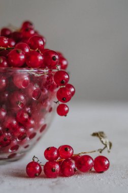 Cam kasede taze olgun kırmızı frenk üzümü.