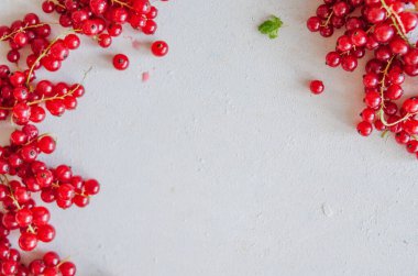Parlak kırmızı frenk üzümü. Fotokopi alanı olan taze olgun meyveler.