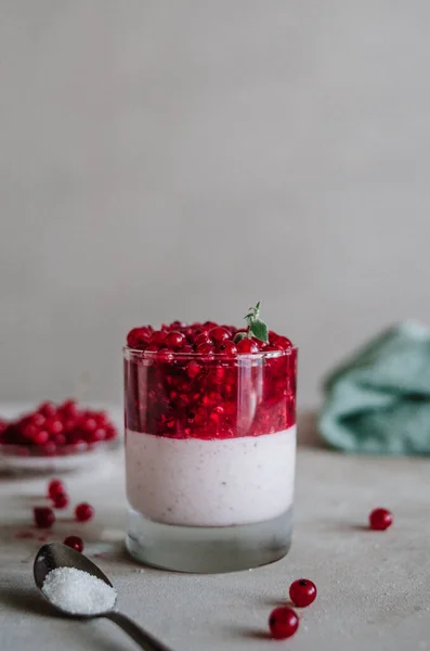 Delicious Italian Pana Cotta Ripe Red Currant Fresh Healthy Dessert Royalty Free Stock Photos