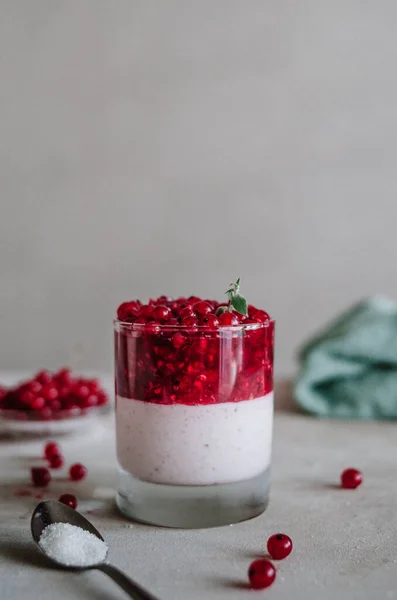 Köstliche Italienische Pana Cotta Mit Reifen Roten Johannisbeeren Frisches Gesundes lizenzfreie Stockfotos