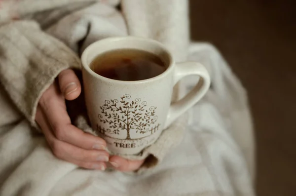 Herbata Jesienią Dziewczyna Trzyma Kubek Ciemnej Herbaty Beżowym Tle Kratę — Zdjęcie stockowe