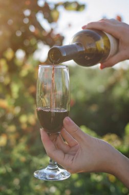 Kız şarap bardağına kırmızı şarap döküyor.