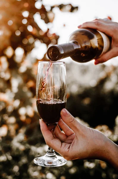 Chica Está Vertiendo Vino Tinto Vaso Botella Contra Fondo Del — Foto de Stock