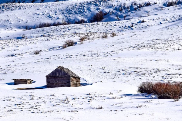 Snow covered Colorado hillside with cabin in Winter