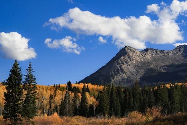 Mountain peak surrounded by Aspens