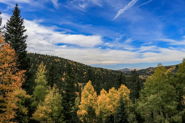 Forest View Fall Colors Bright Blue Cloudy Sky — Stock Photo, Image