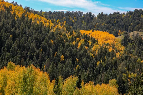 Aspens Yamaca Stok Fotoğraf