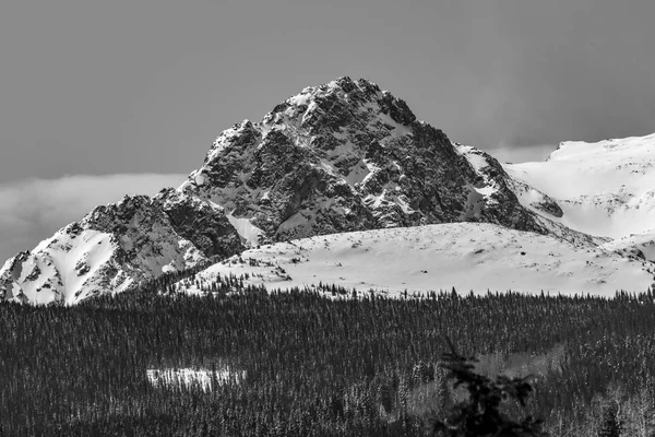 Pico Las Montañas Rocosas Colorado —  Fotos de Stock