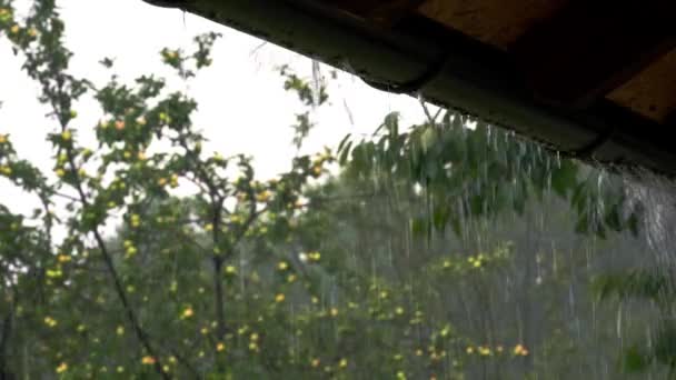 Pluie Sur Gouttière — Video