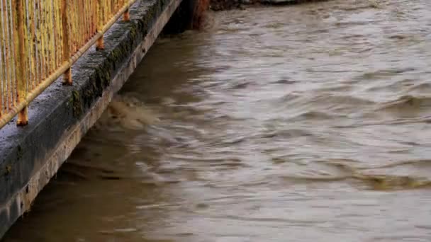 Gran Inundación Del Río Después Derretir Nieve — Vídeos de Stock