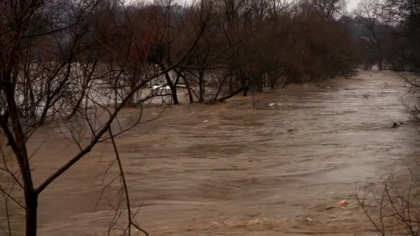 Große Flussflut Nach Schneeschmelze — Stockvideo