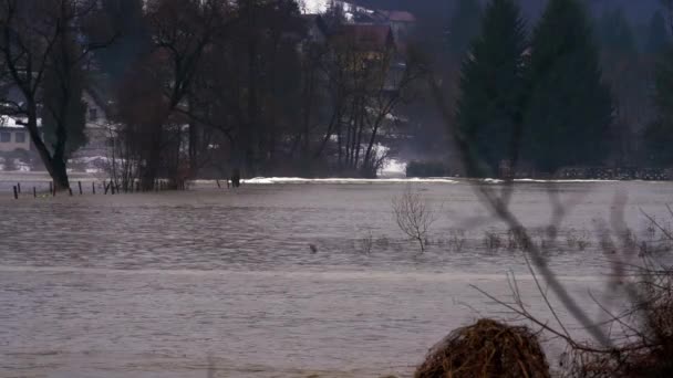 Große Flussflut Nach Schneeschmelze — Stockvideo